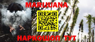 гашик Можга