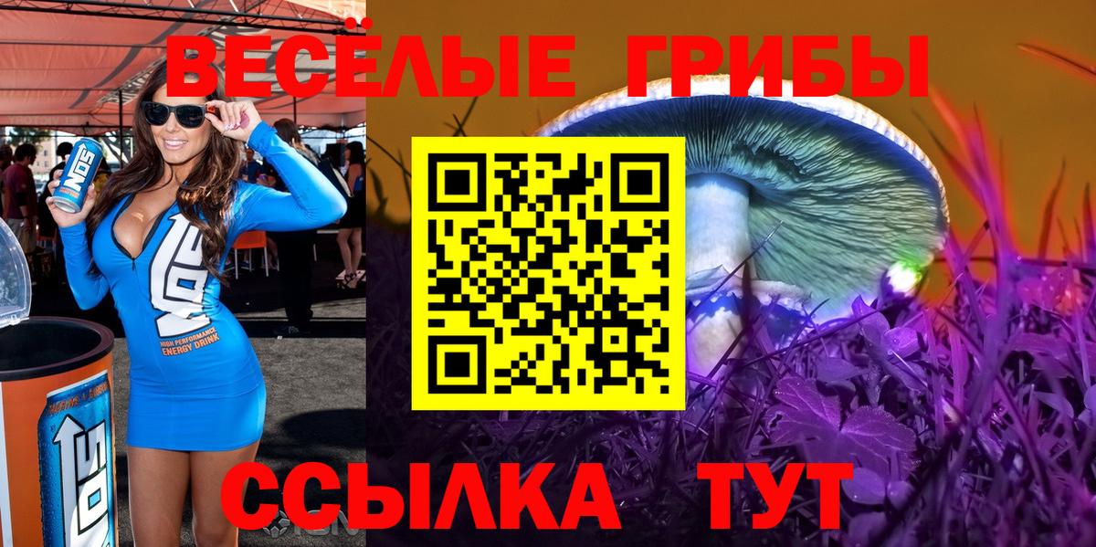 Псилоцибиновые грибы мухоморы  Псилоцибиновые грибы ЛСД  Вход с VPN  Гатчина 